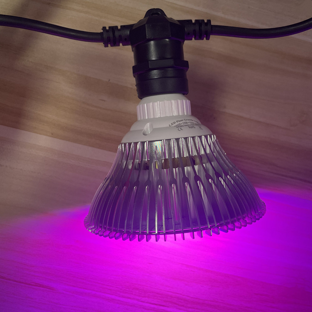 10 m langes LED-Kabel, wasserd – Waterproof Led Strip Bewertung und Preis