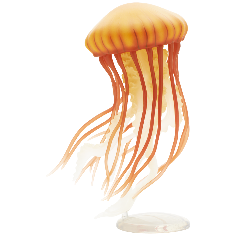 Quallen-Gashapon-Figur Kitan J – Outdoor Lighting Jellyfish Bewertung und Preis