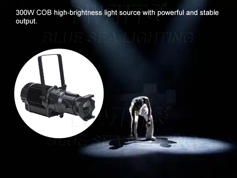 IP65 Wasserdichter Outdoor 300 – Outdoor Lighting Event Bewertung und Preis