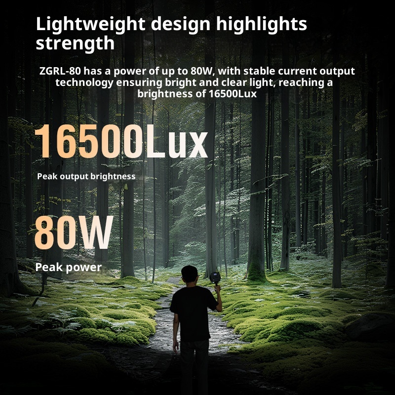 ZGRL80 80 W COB-LED-Videoleuch – Outdoor Lighting For Photography Bewertung und Preis
